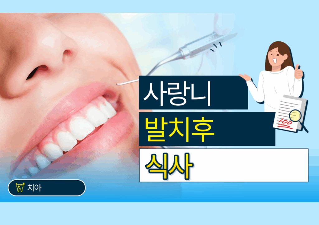 제목을 입력해주세요.