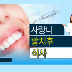 제목을 입력해주세요.