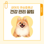 제목을 입력해주세요.