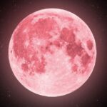 화면 캡처 2026-04-04 004827