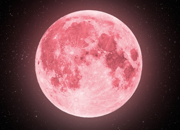 화면 캡처 2026-04-04 004827