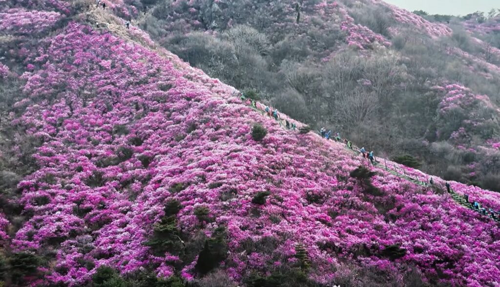 화면 캡처 2026-04-19 005900