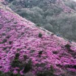 화면 캡처 2026-04-19 005900