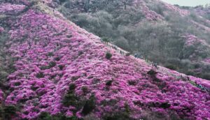 화면 캡처 2026-04-19 005900