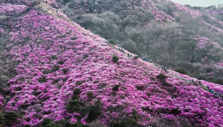 화면 캡처 2026-04-19 005900