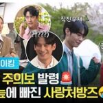 화면 캡처 2026-05-14 221447