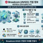 브로드컴(AVGO)_한국어_인포그래픽_으로출력해줘_202606070205