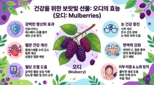 오디의효능_한국어_인포그래픽_으로출력해줘_202606140716